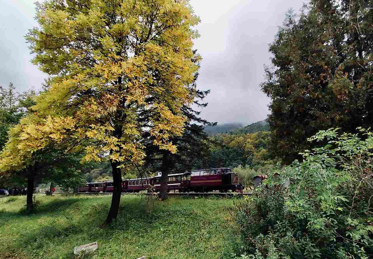 тур КАРПАТСЬКИЙ ТРАМВАЙЧИК + МЕДОВАРНЯ ЧОРНА БДЖОЛА