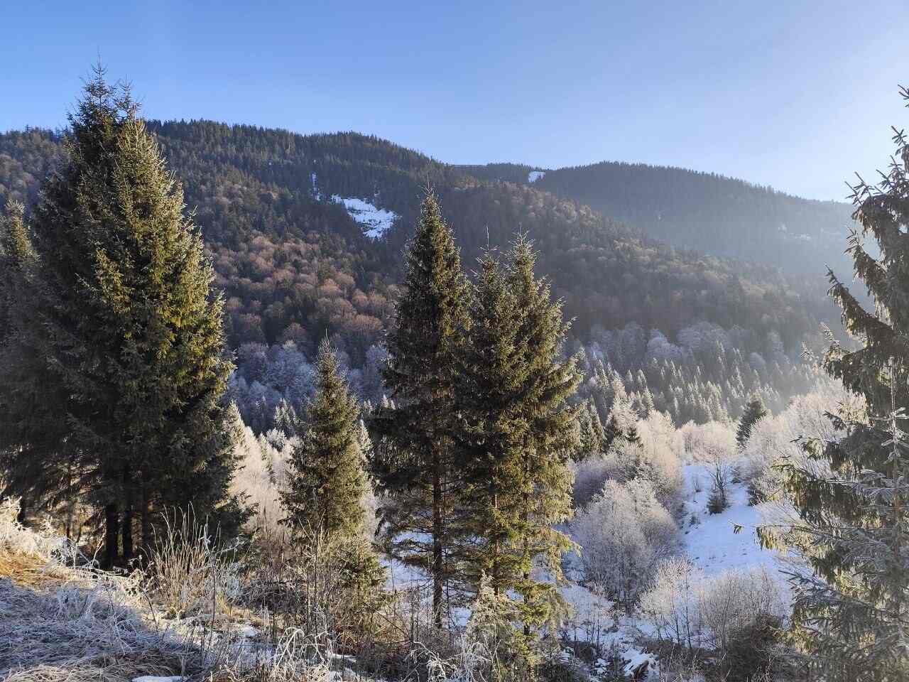 Тур в Карпаты