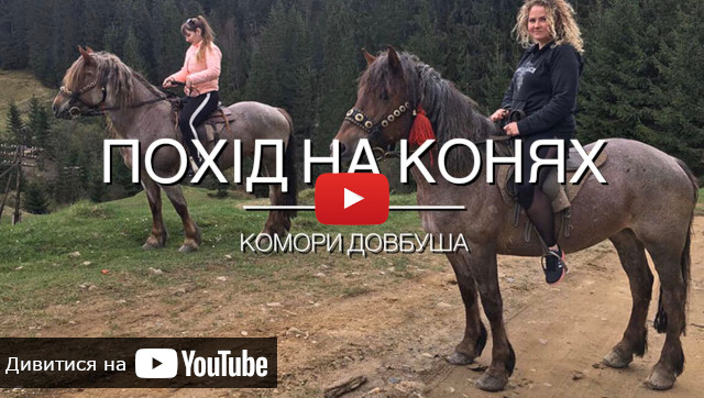 видео про поход на лошадях