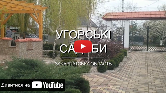 відео про садиби Берегівського району